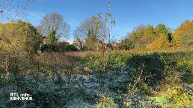 Le tour des régions de ce lundi 2 décembre nous emmène à  Bruxelles, Anhée et Libramont.