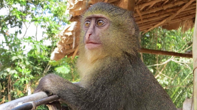 maquette_nouveau_look_v4