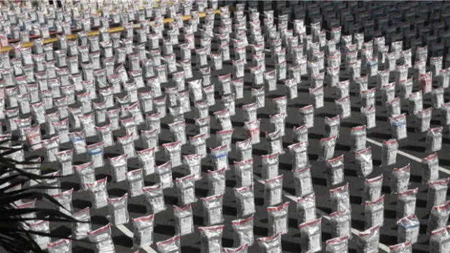 Les autorités dominicaines ont révélé la saisie record de 9,5 tonnes de cocaïne présumée. Un total de 320 sacs remplis à destination de la Belgique.