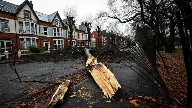 belgaimage-107533713