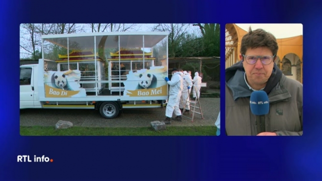 Julien Crête fait le point ce midi sur le départ des 3 jeunes pandas de Pairi Daiza pour la Chine. Que vont-ils devenir là-bas ? Quoiqu'il en soit, l'émotion était palpable à Pairi Daiza où les pandas jouent un rôle prépondérant sur la fréquentation du parc, et donc sur l'économie locale.