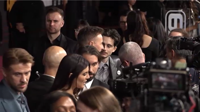 Timothée Chalamet, les acteurs et l'équipe du film biographique sur Bob Dylan Un parfait inconnu (A Complete Unknown) marchent sur le tapis rouge pour la première du film à Los Angeles.