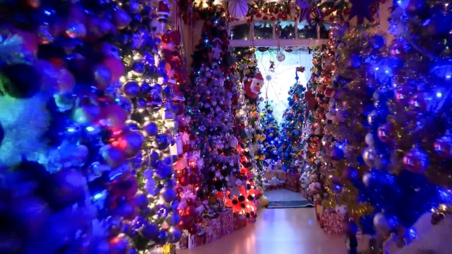 600_decorated_christmas_trees_in_one_house