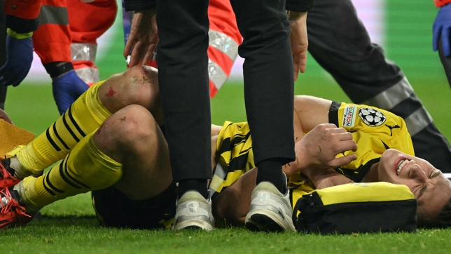 belgaimage-108007825_copie