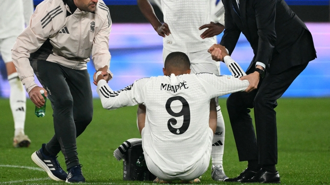 belgaimage-107898366_copie