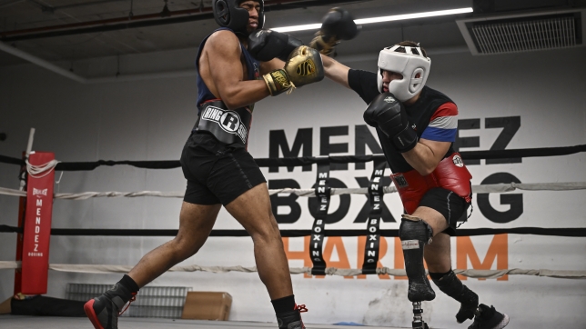 Pierre-Mickaël Hugues