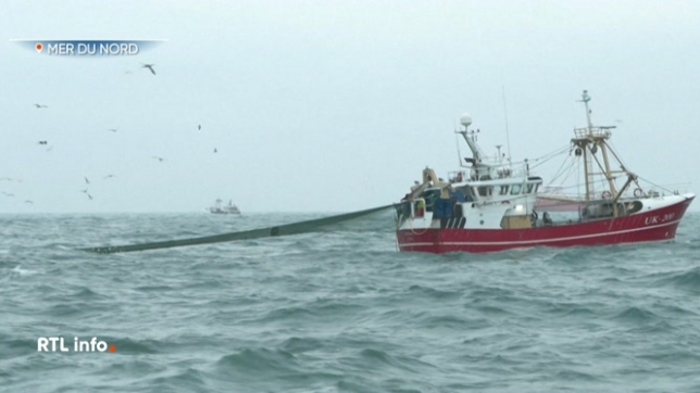 Greenpeace dénonce la pêche dans une zone maritime protégée