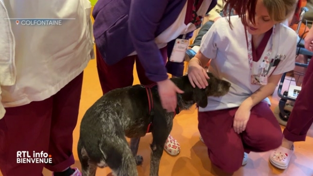Le tour des régions de ce jeudi 19 décembre nous emmène à Colfontaine, Tournai et Verviers.