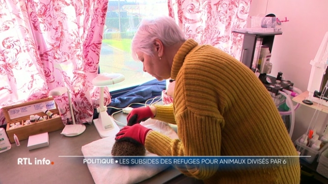 Le gouvernement wallon a décidé de diviser par 6 les financements de ces centres. Les subsides vont passer de 600.000 à 100.000 euros par an. De quoi susciter l'inquiétude de l'Union wallonne de la protection animale qui a demandé une réunion d'urgence avec le ministre-président wallon.