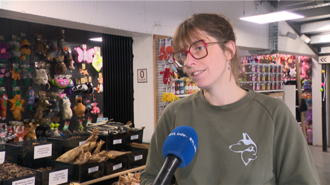 Des cadeaux de Noël pour chiens: quels sont les jouets préférés de nos animaux?