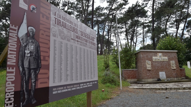 Un ministre sénégalais estime que les tirailleurs sont "des traîtres": "C'est injuste"
