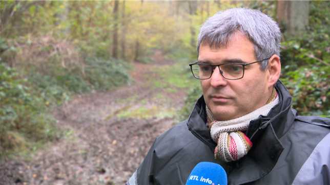 Certains arbres de nos forêts dépérissent. Un phénomène qui est dû à l’accumulation de plusieurs facteurs. Quentin Leroy, directeur de l'Observatoire wallon de la santé des forêts, analyse la situation à notre micro.