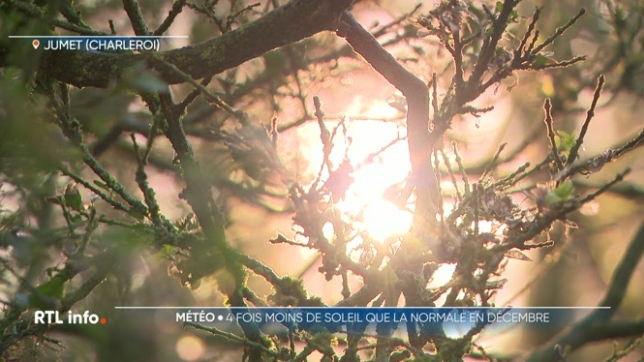 Le soleil a donc fait un timide retour parmi nous ce vendredi. Et cela a fait du bien. Il faut dire qu'on ne l'a pas vu beaucoup ces dernières semaines. Ce matin encore, nombre d'entre nous se sont encore réveillés en plein brouillard.
