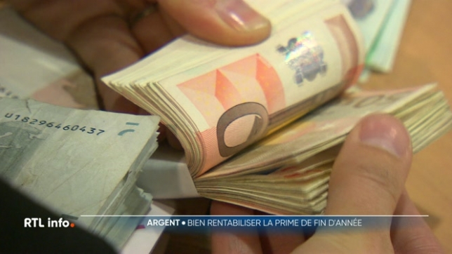 La prime de fin d'année, payée à de nombreux travailleurs du secteur privé ou de la fonction publique, est un avantage financier octroyé par l'employeur. Pour ceux qui en bénéficient, elle doit être versée avant le 31 décembre. Mais que faire de cet argent ? Et comment bien le rentabiliser ?