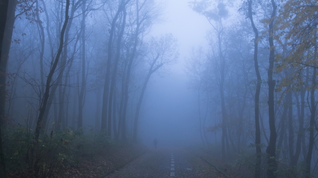 adobestock_194645167