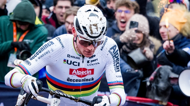 belgaimage-109318068_copie