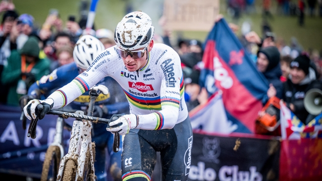 mathieu van der poel