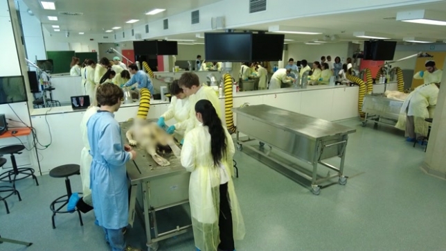 Comment les étudiants en médecine travaillent-ils sur de vrais corps d'humains donnés à la science?