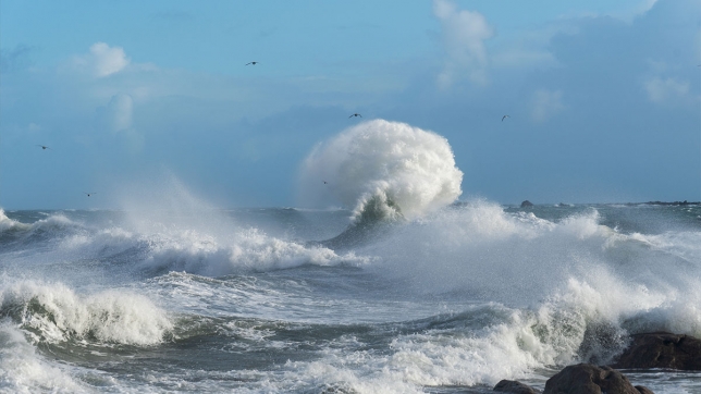 "Il s'agit d'un accident": un timonier belge meurt après être tombé à la mer dans les eaux britanniques