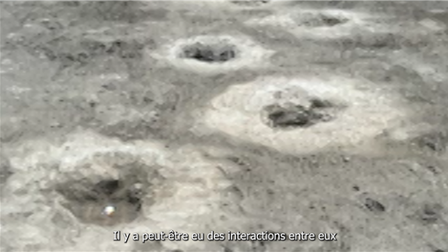 Près de 200 empreintes de dinosaures ont été découvertes dans une carrière au sud-est de l'Angleterre.