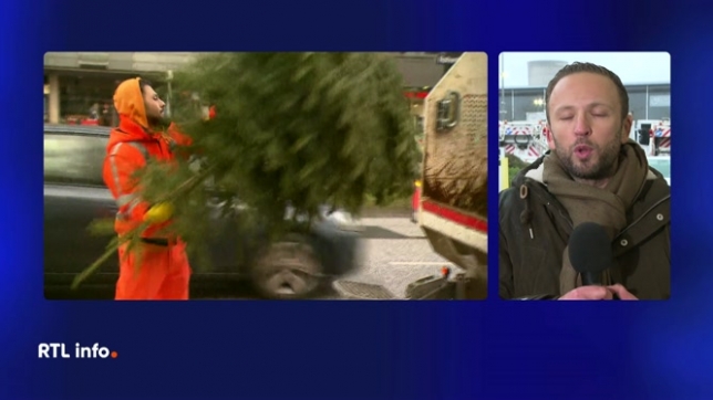 Adel Lassouli, porte-parole de Bruxelles-Propreté, nous dit tout ce qu'il faut savoir sur la récolte des sapins de Noël dans la capitale.