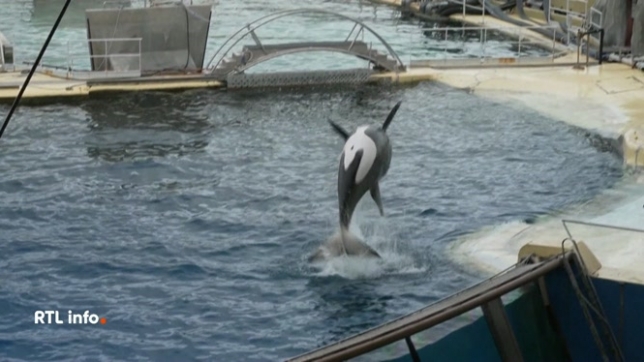 Le zoo Marineland a définitivement fermé ses portes à Antibes