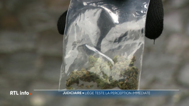 Il s'agissait d'une opération de terrain pour erradiquer les points de deal de la rue du Pont. Les consommateurs ont aussi été interpellés et mis à l'amende.