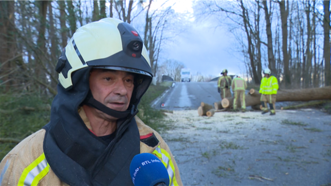 On n’arrête pas depuis ce matin!: David, pompier, affecté à l’abattage d’arbres sur la voie publique à Feluy