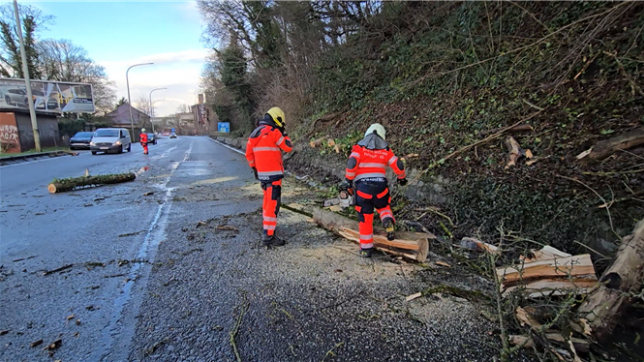 Route entravée par des arbres à Couillet: les pompiers en opération sur place.