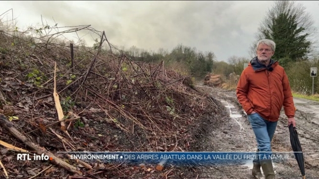 La vallée du Frizet est défigurée. Certains arbres abattus étaient malades. L'abattage n'est pas illégal, mais une association de défense de l'environnement dénonce un fameux gâchis.