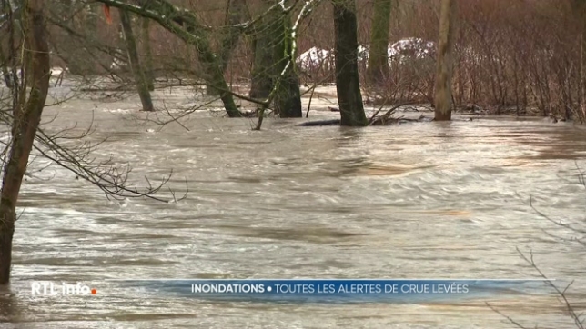 Plusieurs cours d'eau ont débordé cette nuit en Wallonie, provoquant quelques inondations. L'Ourthe a rendu quelques rues inaccessibles et certaines habitations sont isolées. Les niveaux sont en train de baisser.
