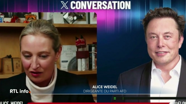 L'ingérence d'Elon Musk commence à agacer les Européens