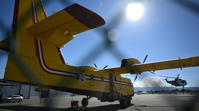 super-scooper-los-angeles