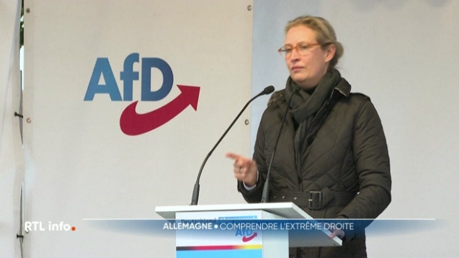 Focus sur le parti d'extrême droite allemand AfD qui cartonne