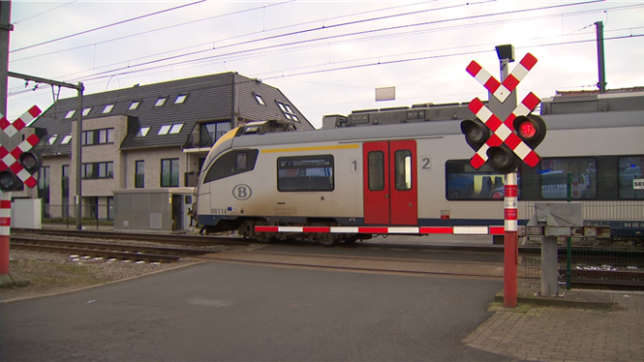 Une voiture a été heurtée par un train à un passage à niveau à Grammont, en Flandre orientale, mardi matin. Le trafic ferroviaire a été interrompu entre Ninove et Grammont, ont indiqué Infrabel et la SNCB. Le conducteur est décédé à la suite de l'accident, a précisé la police locale.