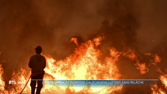 Focus sur le travail des 5000 pompiers qui luttent contre les incendies à Los Angeles