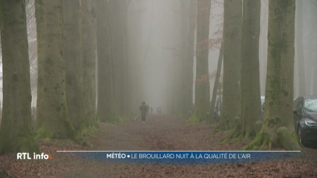 Depuis plusieurs jours, les Belges sont confrontés à un épais brouillard, observable dans plusieurs régions du pays. Ce phénomène affecte la qualité de l'air et peut avoir des conséquences sur la santé.