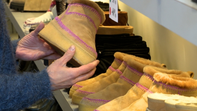 55ff24fe-7f22-33ef-be50-e760237af82a_rtl_info_19h_clean_hi