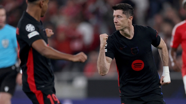 belgaimage-110884831_copie