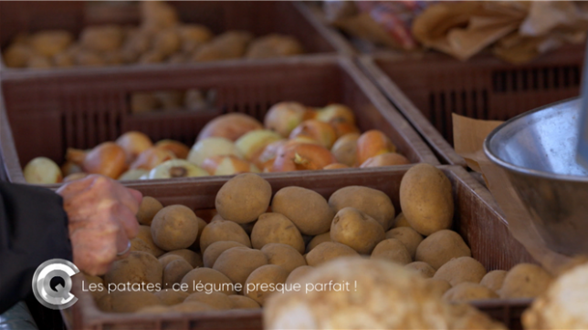 Longtemps considérée comme un aliment de base, la pomme de terre regorge de qualités nutritives. Entre énergie durable, richesse en vitamines et polyvalence en cuisine, elle s’impose comme un allié santé incontournable.