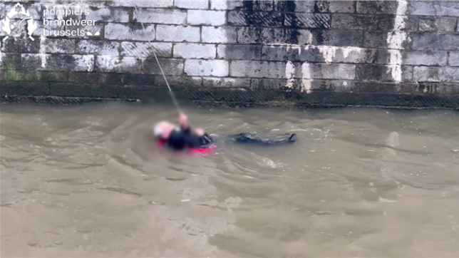 Un homme a été sauvé de la noyade par les plongeurs des pompiers de Bruxelles ce jeudi matin. La victime a été transférée à l'hôpital, mais ses jours ne sont pas en danger.