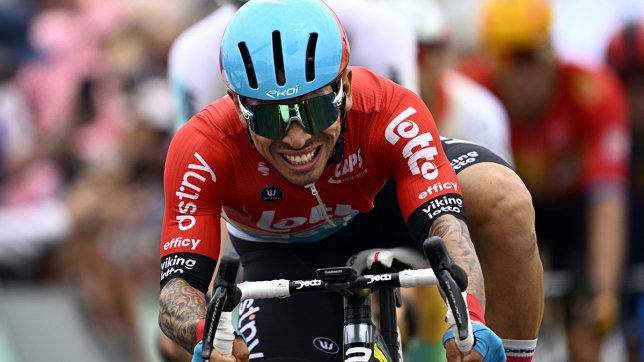 belgaimage-70089222_copie