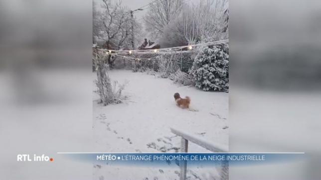 RTL info revient sur le phénomène assez particulier constaté lors de la dernière période de gel dans plusieurs localités du Hainaut. Il s'agit de la neige industrielle, provoquée par les conditions climatiques et la concentration de particules dans l'air à proximité de zones industrielles.