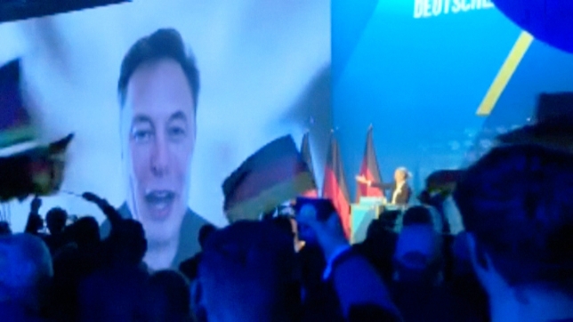 musk AfD