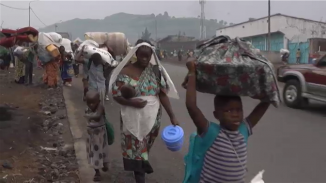 Des combats entre l'armée congolaise et le M23, soutenu par le Rwanda, s'intensifient autour de Goma, capitale du Nord-Kivu. Le M23 encercle presque entièrement la ville, où des centaines de milliers de civils fuient les violences. L'ONU, l'Union européenne et des pays comme la France appellent à une cessation immédiate des hostilités.