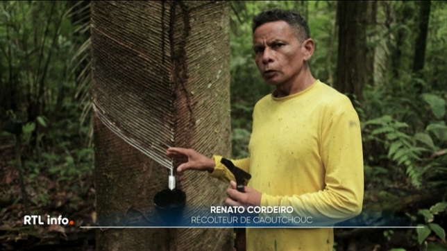 Brésil: une entreprise exploite le caoutchouc de façon durable en Amazonie