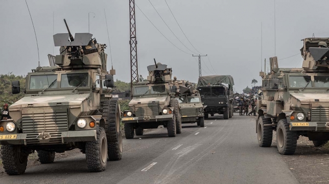 Véhicules blindés appartenant au contingent des South Africa National Defence Forces (SANDF) de la Mission de stabilisation de l'Organisation des Nations Unies en République démocratique du Congo (MONUSCO)