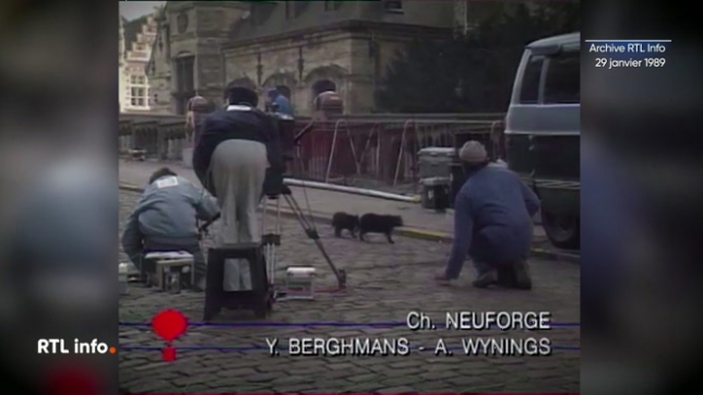 Il y a 35 ans, on tournait, dans les rues de Gand, une adaptation cinéma de Roméo et Juliette. Une centaine de chats y étaient figurants, ce qui posait quelques problèmes de tournage.