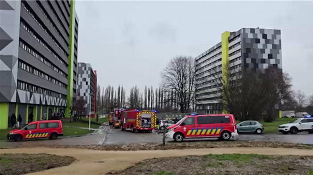 Images de Fabian Van Hove.