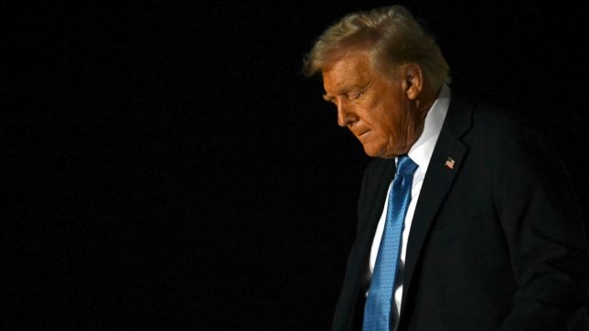 belgaimage-111558659